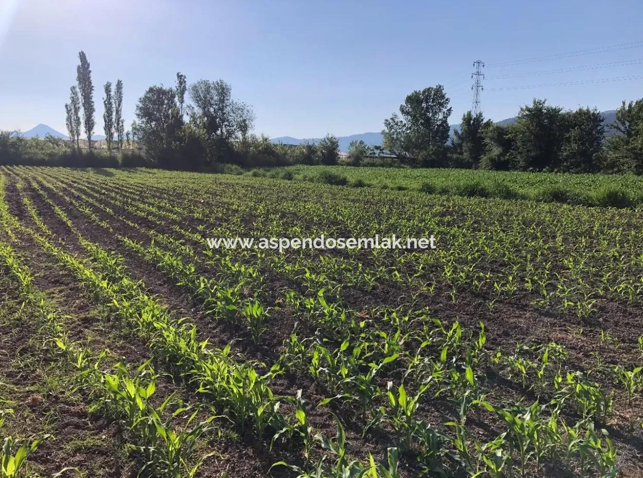 2200M2 Grundstück Zum Verkauf In Dalyan Zum Verkauf In Dalyan