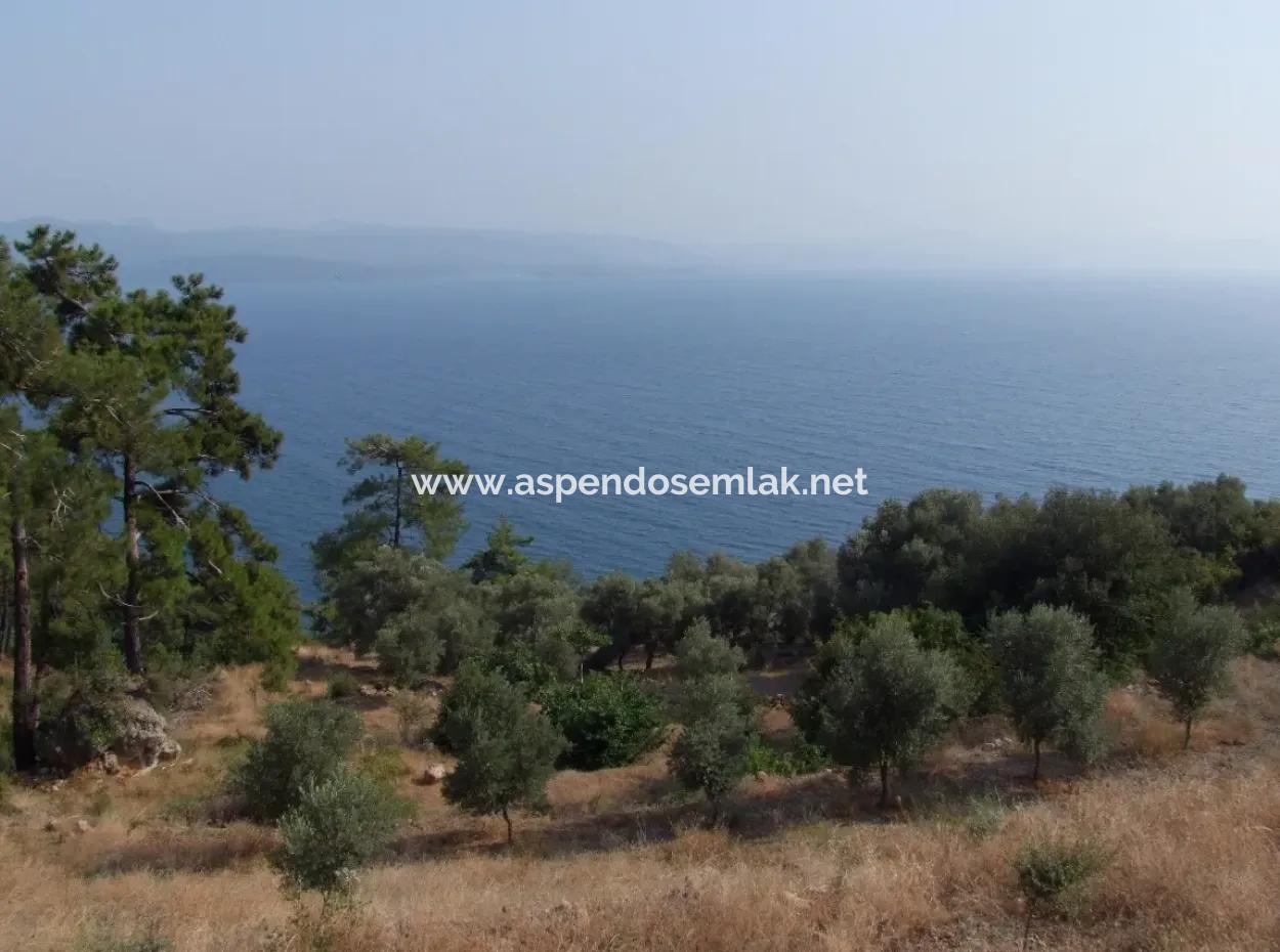 5000M2 Grundstück Zum Verkauf In Akyaka Mit Vollem Meerblick Haus Zum Verkauf Kentucky