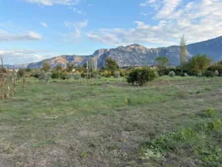 7.450M2 Land Zum Verkauf In Der Nähe Des Zentrums Von Dalyan