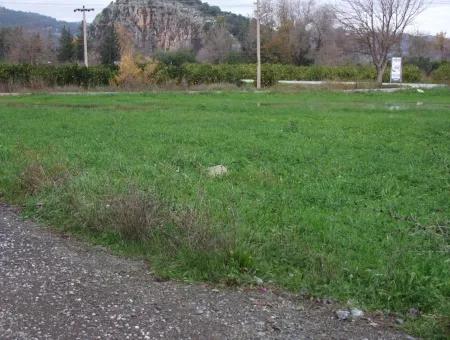 Gulpinar Dalyan Dalyan Zum Verkauf In 1002M2 Grundstück Für Verkauf Zum Verkauf Eckstein