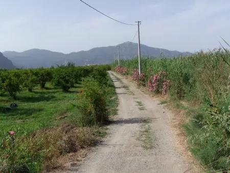 Merkez Dalyan Iztuzu See-Garten-Villa Zum Verkauf