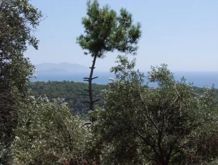 Mit Vollem Meerblick Zum Verkauf In Sarigerme, Grundstücke Zum Verkauf