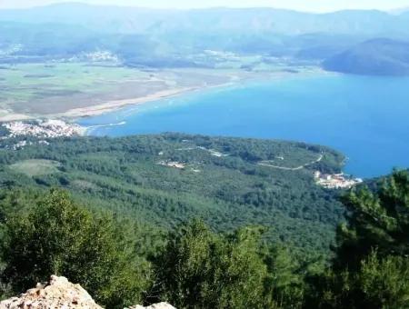 Gökçe Gökçe 21671M2 Bauernhof Zum Verkauf Zum Verkauf