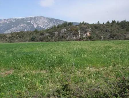 In Akyaka Zum Verkauf: Grundstück Zum Verkauf Bauernhof Zum Verkauf Einer Farm In Der Nähe Vom Meer, In Ars, Yatirimlik 21625M2