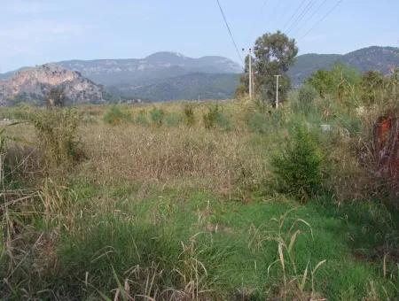 Grundstück Zum Verkauf In Dalyan Zum Verkauf In Dalyan-Kanal Null