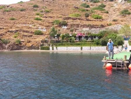 Benutzerdefinierte Dorf Am Meer Zu Verkaufen Villa Zum Verkauf In Osmanabad