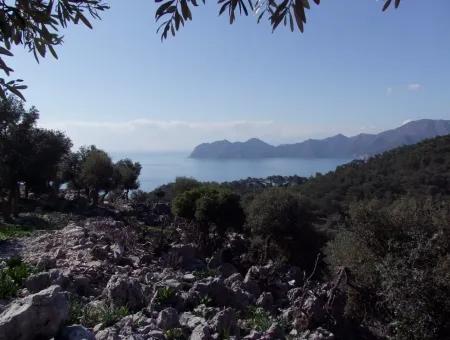 Çandır 5367M2 Farm Grundstück Zum Verkauf Mit Meerblick