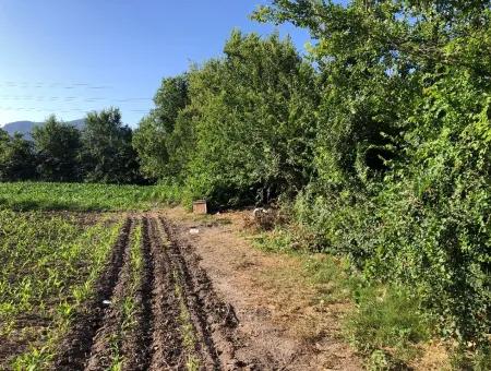 2200M2 Grundstück Zum Verkauf In Dalyan Zum Verkauf In Dalyan