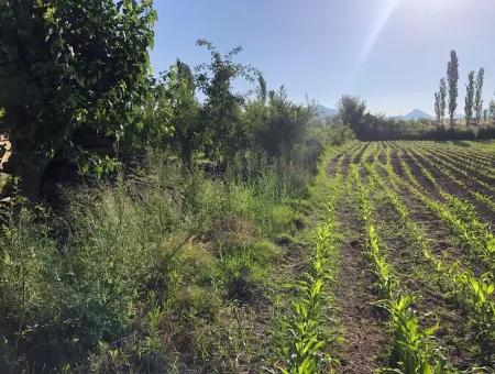 2200M2 Grundstück Zum Verkauf In Dalyan Zum Verkauf In Dalyan