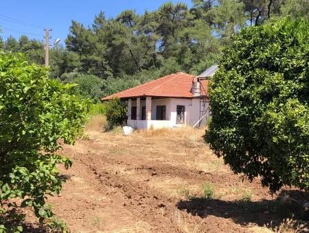 Garten Zum Verkauf In Gokce Akyaka, In Der Nähe Vom Meer, 38,000M2 Grundstück Zum Verkauf