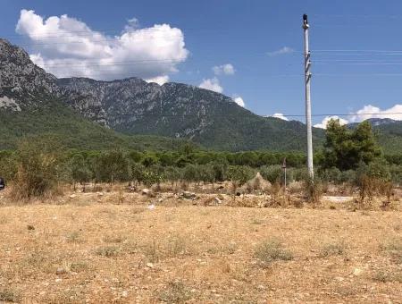 11.227M2 Grundstück Zum Verkauf Mit Seeblick In Köyceğiz Zeytinalan