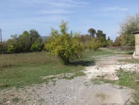 Grundstück Zu Verkaufen In Guzelyurt Land Zu Verkaufen Null 5515M2 Land Zum Verkauf An Der Hauptstraße