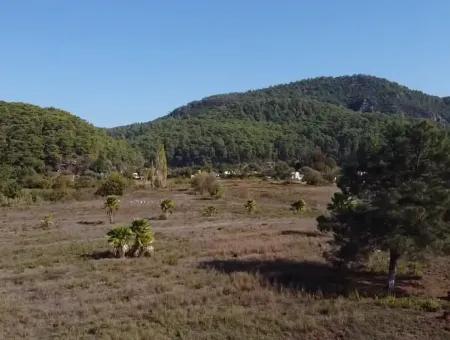 Land Zum Verkauf In 'Aml'da Marmaris 'Aml'da Meerblick 11720M2 Land Zu Verkaufen