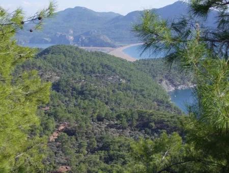 Immobilien-Schnäppchen-Grundstück Zu Verkaufen Mit Meerblick In Çandır Anruf In Ekincik