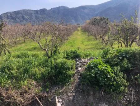 5500M2 Grundstück Zu Verkaufen In Dalyan