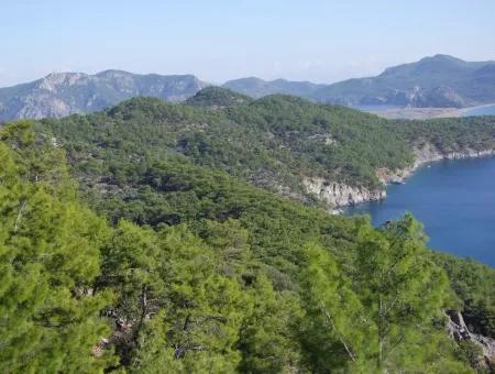 Immobilien-Schnäppchen-Grundstück Zu Verkaufen Mit Meerblick In Çandır Anruf In Ekincik