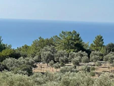 Feldgrundstück Zum Verkauf Mit Meerblick Von Çandir