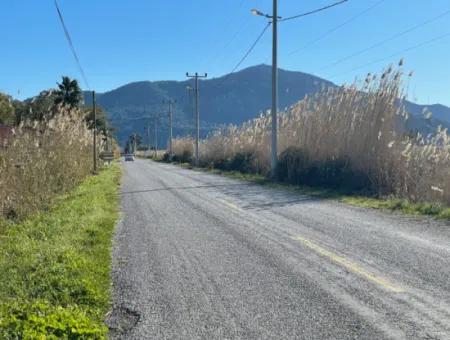 Dalyan Iztuzu Road Zero 5216M2 Feldgrundstück Zum Verkauf