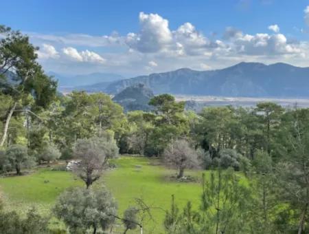 10.707M2 2B Feld Zu Verkaufen Mit Meerblick See In Çandır