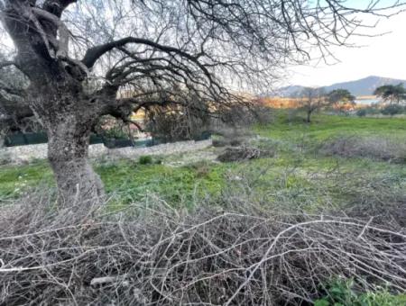 Çandır'sa Grundstück Zum Verkauf Mit Meer- Und Seeblick 545M2