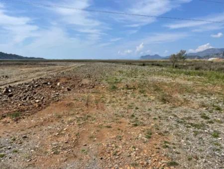 Dalyan Iztuzu Strand Straße Null 19.600M2 Feld Land Zum Verkauf