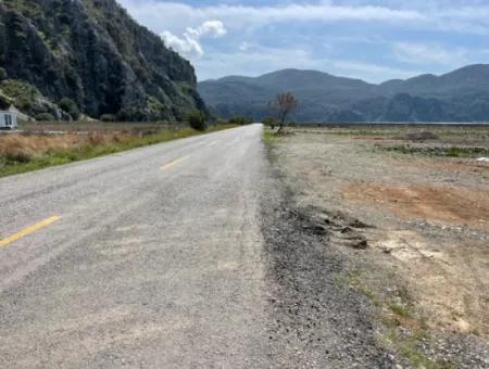 Dalyan Iztuzu Strand Straße Null 19.600M2 Feld Land Zum Verkauf