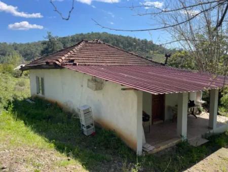 Mehrfamilienhaus Zum Verkauf In 5650M2 Feld In Zeytinalann