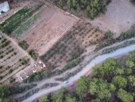 3578M2 Feld Zum Verkauf An Der Straße Von Aşı Koyu In Mergenlide