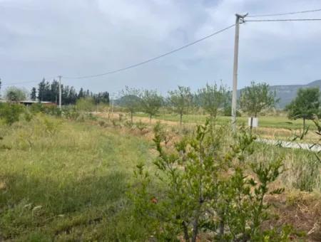 Feld Zu Verkaufen 6500M2 In Dalyan