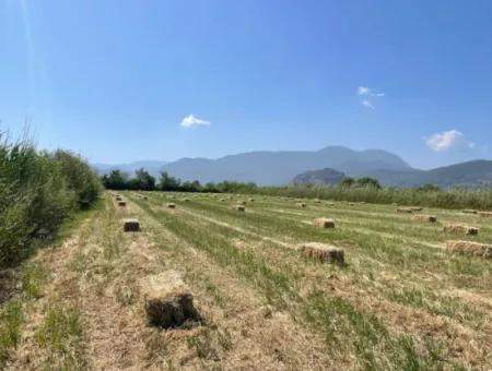 6.500 M2 Feld Zum Verkauf An Der Iztuzu-Straße In Dalyan