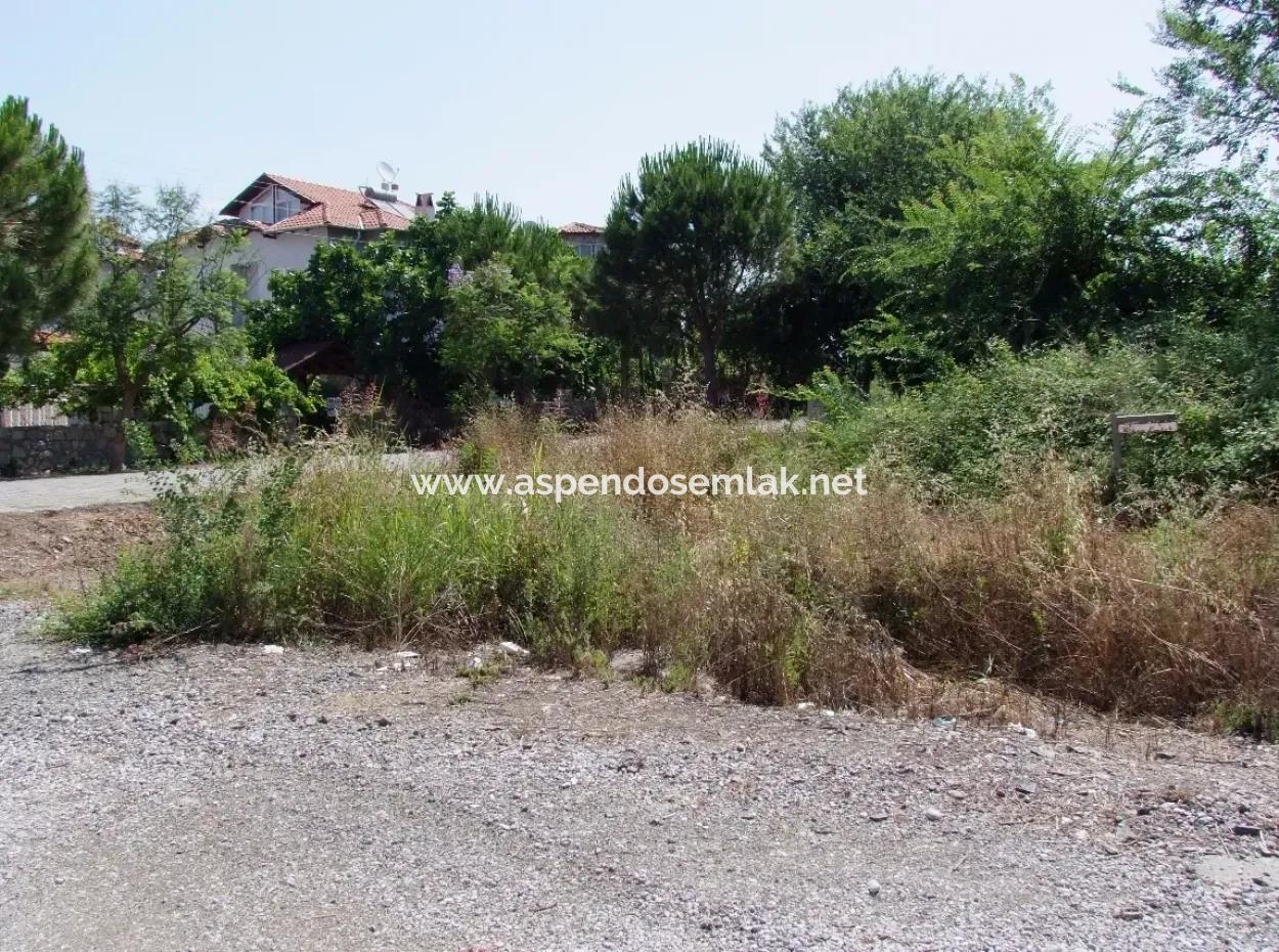 Gurpinar In Dalyan For Sale Dalyan Land For Sale, Plot For Sale In Köşebaşı 993M2 0 60