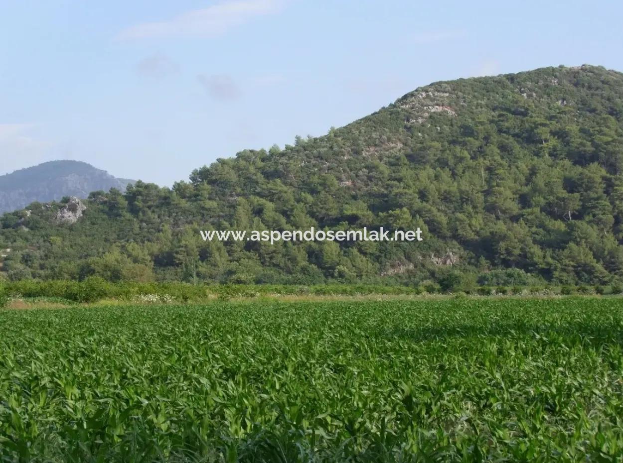 Farm For Sale Near The Centre Of Dalyan,14, 612M2 Farm For Sale