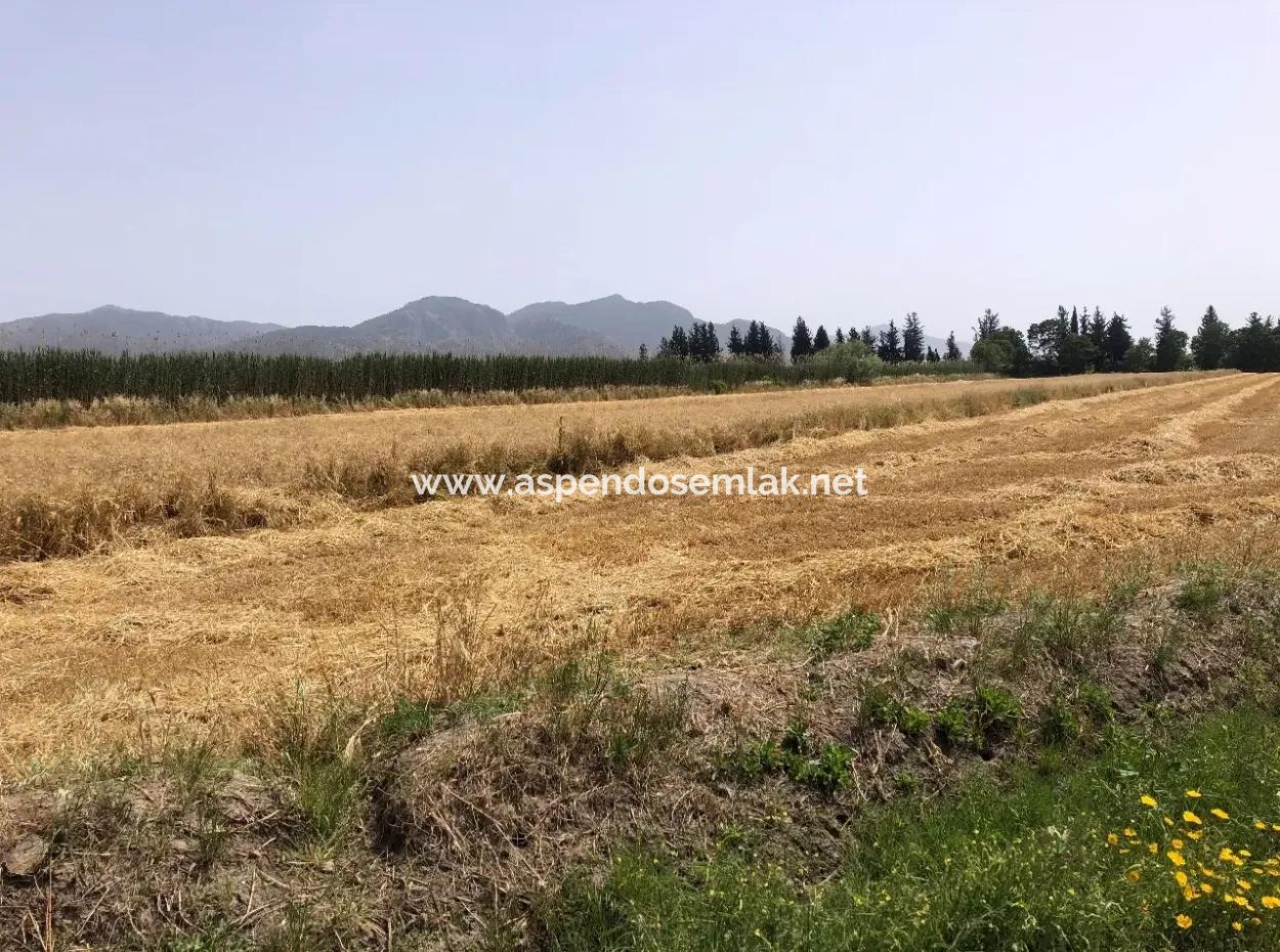 Farm Land For Sale 39 Acres In Eskikoy