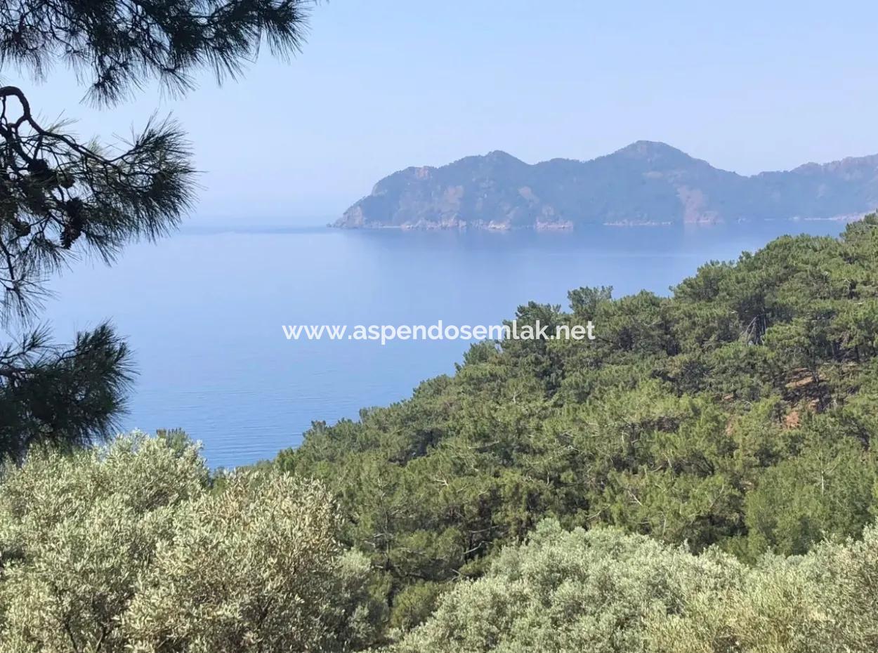 7034M2 Field For Sale With Sea View In Çandir