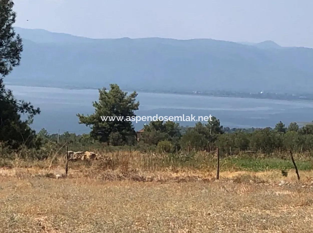 11.227M2 Land For Sale With Lake Views In Köyceğiz Zeytinalanı