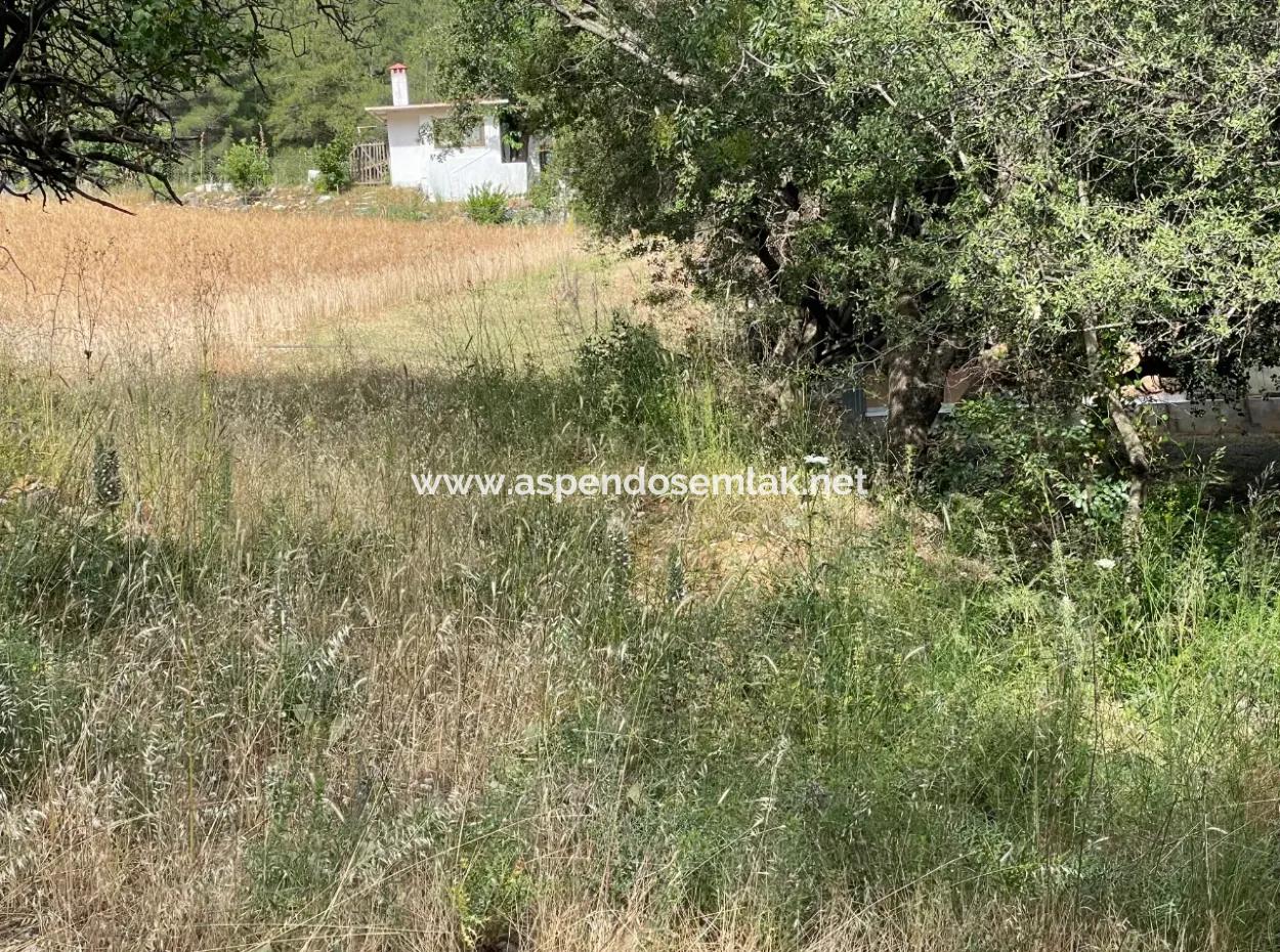 Land For Sale In Ula Armutchuk With 501M2 Zoning