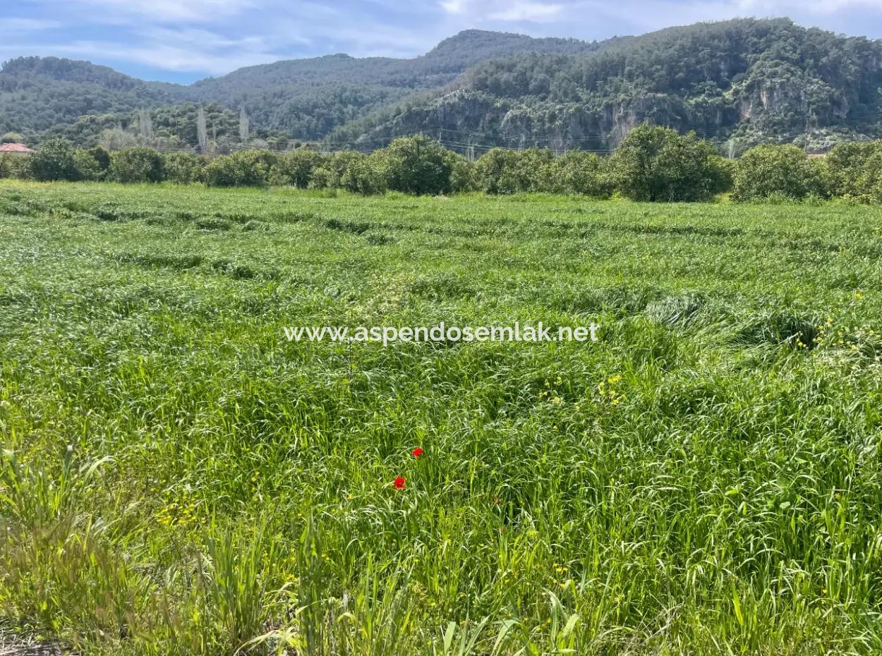 736M2 Land For Sale In Okçular