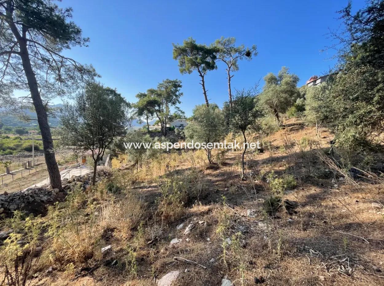 1,320M2 Field For Sale In Çandır Center By The Forest