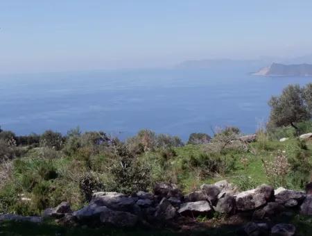 For Sale In Faralya Faralya With Sea View And 11,286M2 Land For Sale Tourism