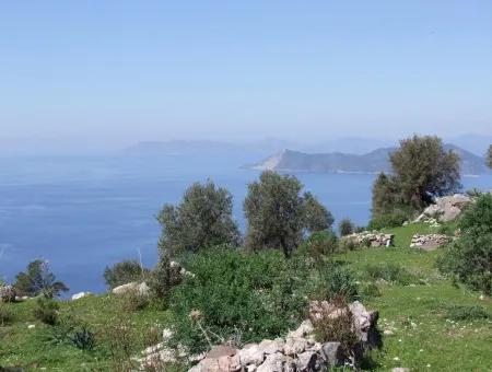 For Sale In Faralya Faralya With Sea View And 11,286M2 Land For Sale Tourism