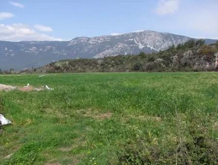 In Akyaka For Sale: Land For Sale Farm For Sale A Farm Near The Sea Of Ars, Yatirimlik 21625M2