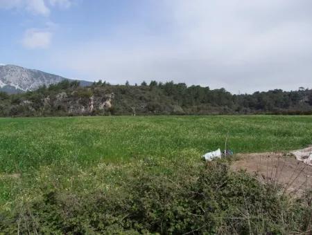 In Akyaka For Sale: Land For Sale Farm For Sale A Farm Near The Sea Of Ars, Yatirimlik 21625M2