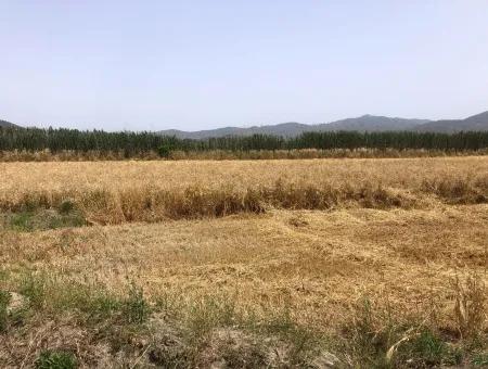 Farm Land For Sale 39 Acres In Eskikoy