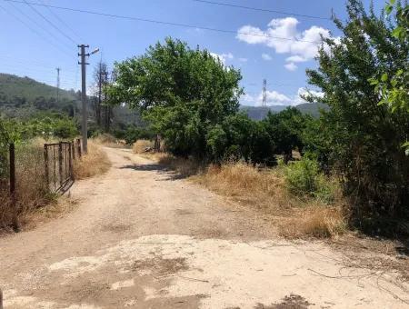 Garden For Sale In Gokce Akyaka, Near The Sea, A 38,000M2 Plot For Sale