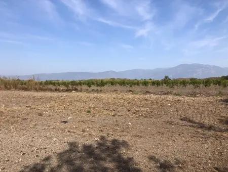 Land For Sale In Esköy 8500M2 Field Land For Sale