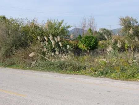 Land For Sale In Guzelyurt Land For Sale Zero 5515M2 Land For Sale On The Main Road