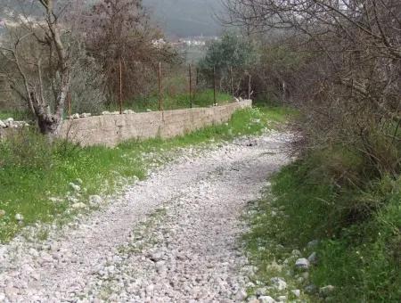 In Incirkoy Uzumlu Fethiye Plot For Sale Farm For Sale In Incirkoy