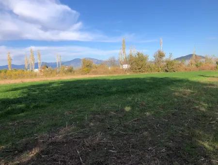 Land For Sale In Dalyan 2540M2