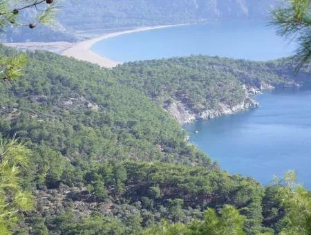 Real Estate Bargain Plot For Sale With Sea Views In Çandır Call In Ekincik