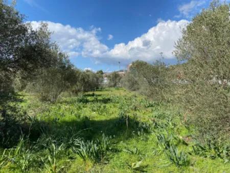 401M2 Land For Sale In Ortaca Cumhuriyet Neighborhood